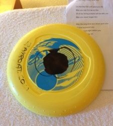 Gold House Frisbee
